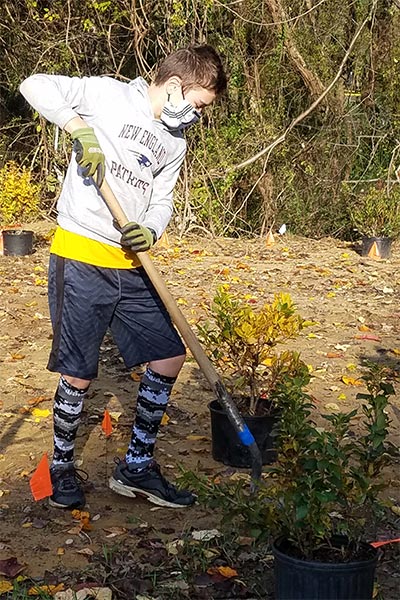 volunteer planting shrubs