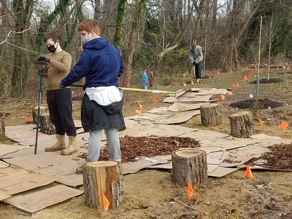 boy scouts spreading wood chips