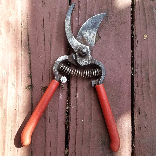 pruning snips