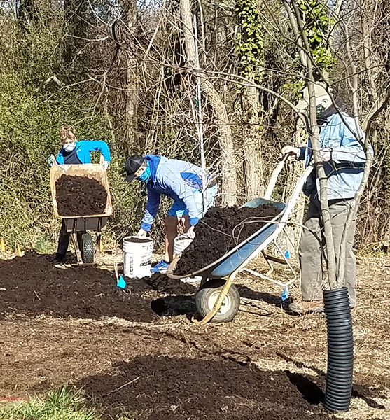 volunteers moving mulch