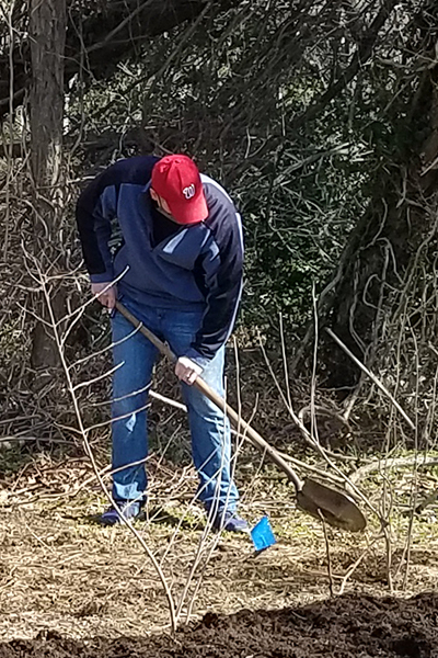 volunteer shoveling mulch