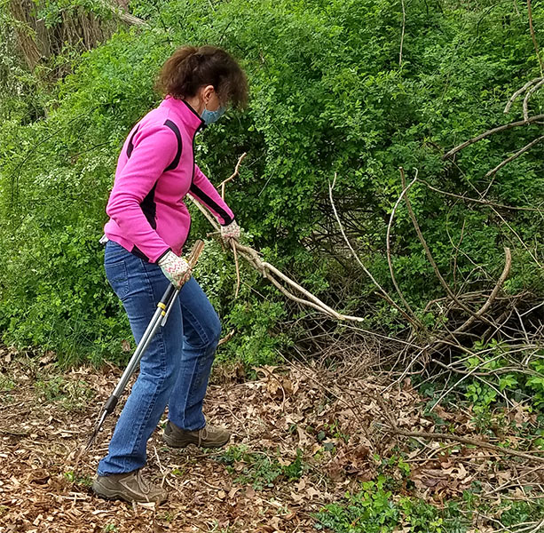 volunteer removing weeds