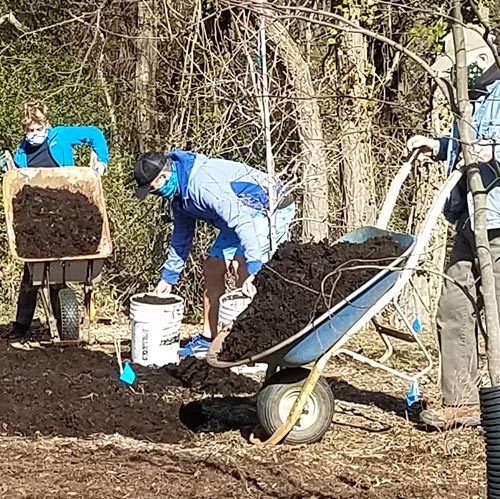 volunteers moving mulch in buckets and wheelbarrows
